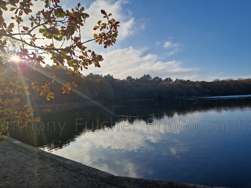 Sutton park lake 
 Taken looking over one of the lakes in Sutton Park, Birmingham UK 
 Keywords: lake, water, winter, landscape, calm, peaceful,