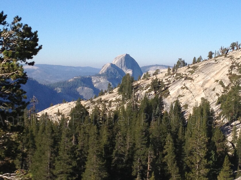 Yosemite national park 
 Shot of Half dome, yosemite national park in the USA from different view, 
 Keywords: yosemite, half dome, landscape, scenic, usa