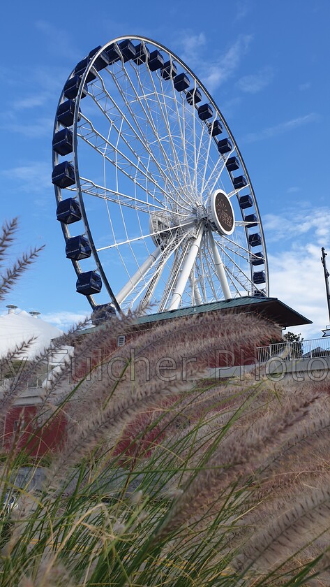 Chicago - Ferris wheel