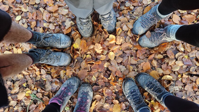 Feet 
 Looking down at hikers feet after a long walk in Sutton Park, Sutton coldfield, England 
 Keywords: walk, hike, feet, boots, autumn, leaves, walking, friends,