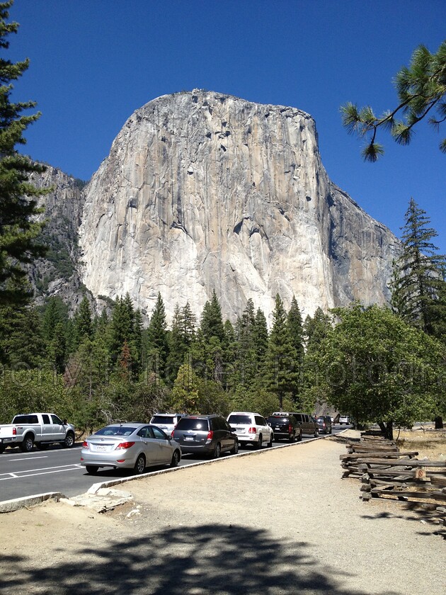 El Capitan 
 Looking up at El Capitan in Yosemite national park USA 
 Keywords: mountain, rock, climbing, el capitan, yosemite, national park, travel, landscape,