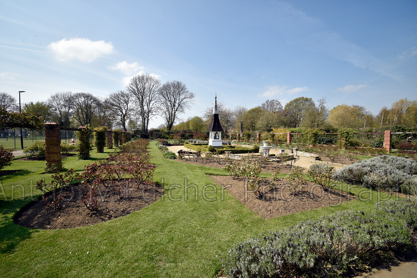 Welland-rose-garden-(1)