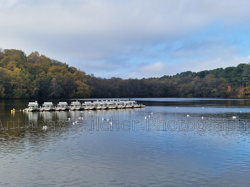 Boating 
 Boats all moored up for the winter on a lake in Sutton Park, West Midlands, UK. 
 Keywords: sutton Coldfield, water, lake, boating, winter, landscape,