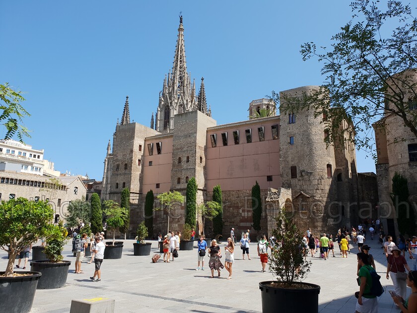 barcelona 
 Keywords: Barcelona, catherdral, spain, street, urban,