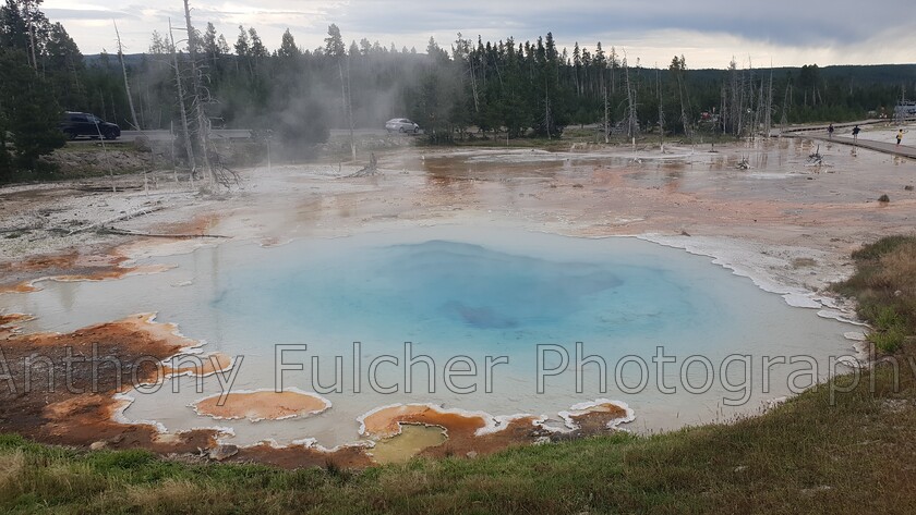 Yellowstone NP